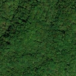 Satellite imagery of Frozen Head Mine, US