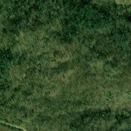 Satellite imagery of Duncan and Coans Mine, US