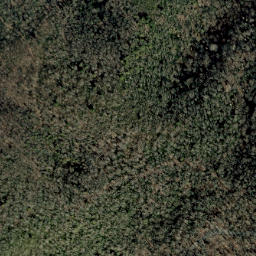 Satellite imagery of Unaka Mountains, US