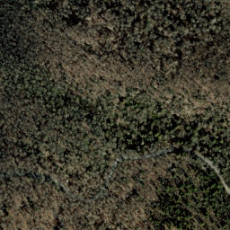 Satellite imagery of Unaka Mountains, US