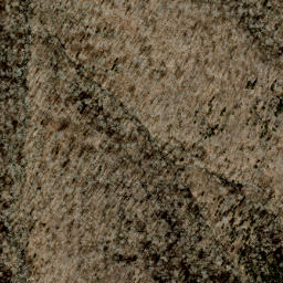 Satellite imagery of Wolf Ridge, US
