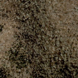 Satellite imagery of Wolf Ridge, US