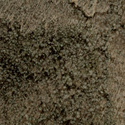 Satellite imagery of Jane Ridge, US