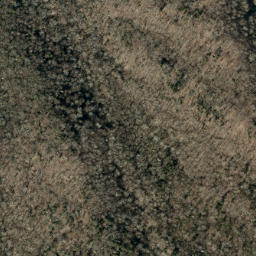 Satellite imagery of Green Ridge, US