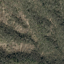 Satellite imagery of Sauls Camp Ridge, US