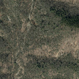 Satellite imagery of Sauls Camp Ridge, US