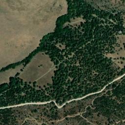 Satellite imagery of survey_point, DZ