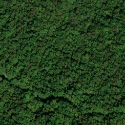 Satellite imagery of Wolf Ridge, US