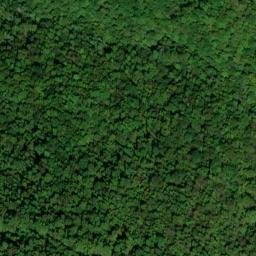 Satellite imagery of Wolf Ridge, US
