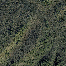 Satellite imagery of Johnson Rock Ridge, US