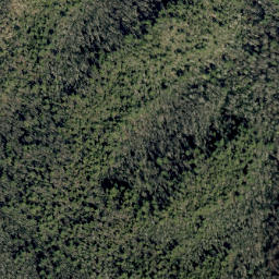 Satellite imagery of Johnson Rock Ridge, US