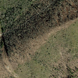 Satellite imagery of Unaka Mountains, US