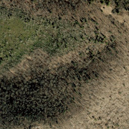 Satellite imagery of Unaka Mountains, US