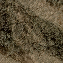 Satellite imagery of Sarvis Ridge, US