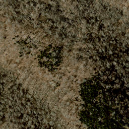 Satellite imagery of Sarvis Ridge, US