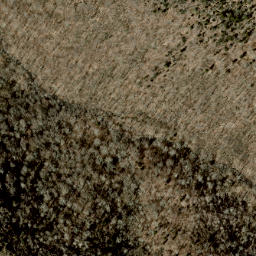 Satellite imagery of Sarvis Ridge, US