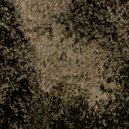 Satellite imagery of Wolf Ridge, US