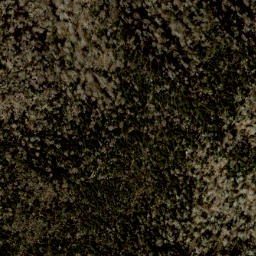 Satellite imagery of Wolf Ridge, US
