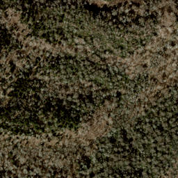 Satellite imagery of Laurel Spur, US