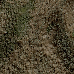 Satellite imagery of Laurel Spur, US