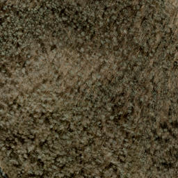 Satellite imagery of Jane Ridge, US