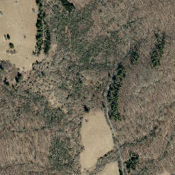 Satellite imagery of Elk Hollow Ridge, US