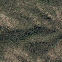 Satellite imagery of Sauls Camp Ridge, US