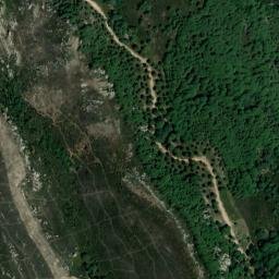 Satellite imagery of survey_point, DZ