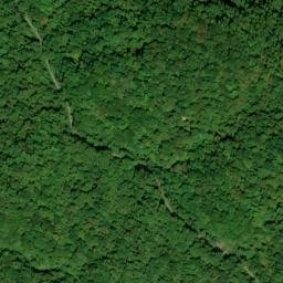Satellite imagery of Wolf Ridge, US