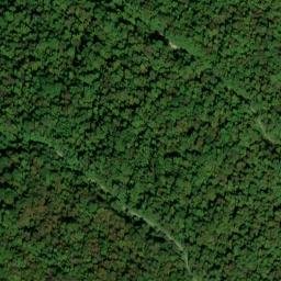 Satellite imagery of Wolf Ridge, US