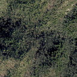 Satellite imagery of Johnson Rock Ridge, US