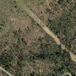 Satellite imagery of Unaka Mountains, US
