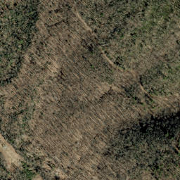 Satellite imagery of Unaka Mountains, US