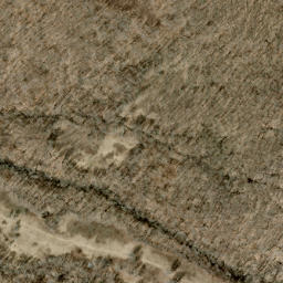 Satellite imagery of Sarvis Ridge, US