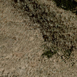 Satellite imagery of Sarvis Ridge, US