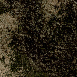 Satellite imagery of Sarvis Ridge, US