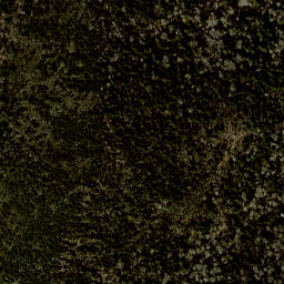 Satellite imagery of Wolf Ridge, US