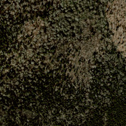 Satellite imagery of Wolf Ridge, US