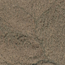 Satellite imagery of Bear Ridge, US