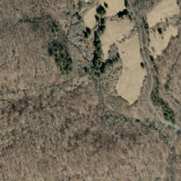 Satellite imagery of Elk Hollow Ridge, US