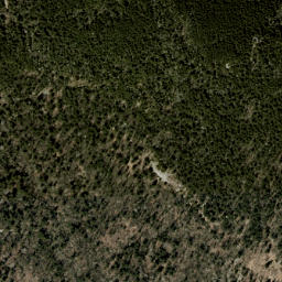 Satellite imagery of Grandfather Mountain, US