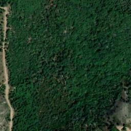Satellite imagery of survey_point, DZ
