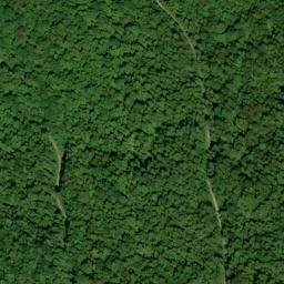 Satellite imagery of Wolf Ridge, US