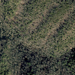 Satellite imagery of Johnson Rock Ridge, US