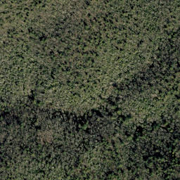 Satellite imagery of Johnson Rock Ridge, US