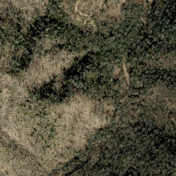 Satellite imagery of Fork Ridge, US