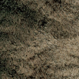 Satellite imagery of Fork Ridge, US