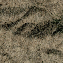 Satellite imagery of Fork Ridge, US