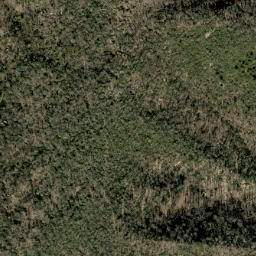 Satellite imagery of Beech Creek Ridge, US