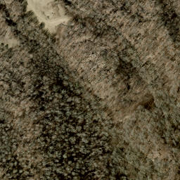 Satellite imagery of Shell Ridge, US